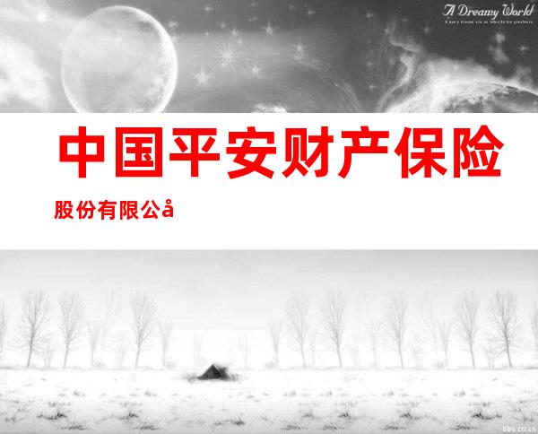 中国平安财产保险股份有限公司宁夏分公司红寺堡支公司