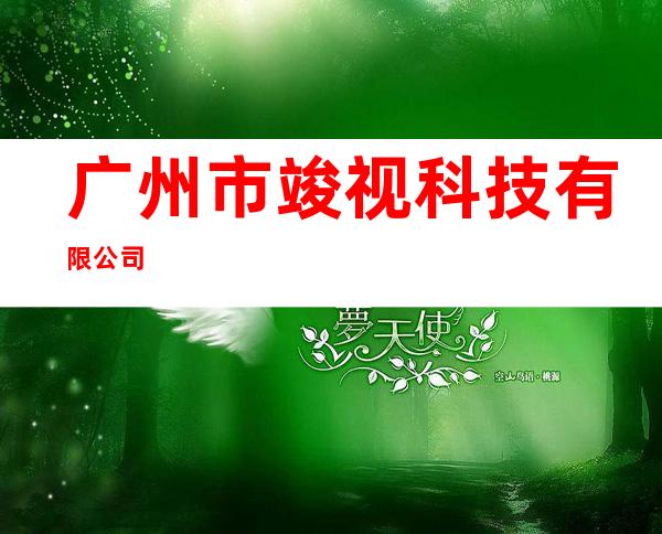 广州市竣视科技有限公司
